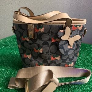 Strawberry small purse